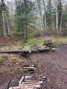 Muddy creek through camp