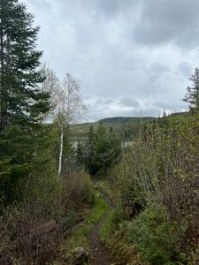 Toward Rat Lake