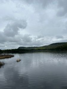 Rat Lake looking toward Rose Lake