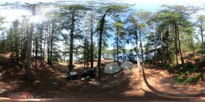 Campsite 1102