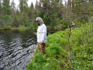 Wolverine Lake Dam