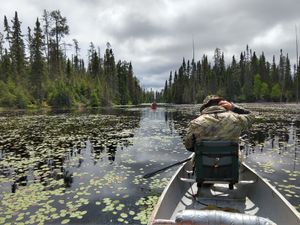 Wolverine Pond