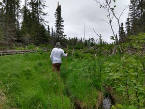 Leading to Wolverine Pond Dam