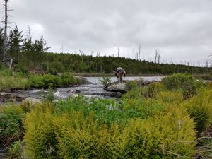 Wet sock rapids