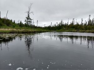 River Exploration