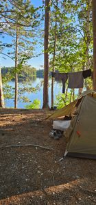 Campsite 177 - June 2024