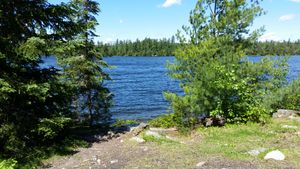 Limited view of birch lake