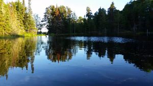 View from beaver pond through to Basswood Lake