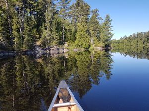 Perfect reflections