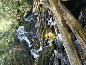 Low flow over Eddy Falls