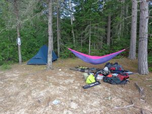 Campsite on the west side of the creek