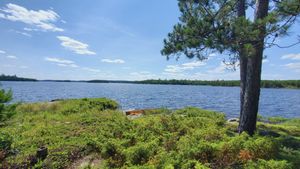 above view of canoe launch