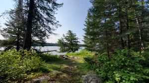 view from fire pit