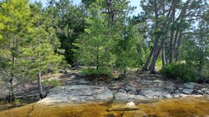 view from water