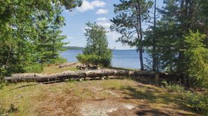 view from fire pit