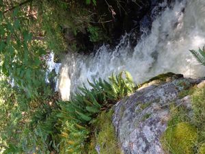 Conk Falls in August