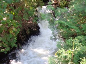 Conk Falls in August