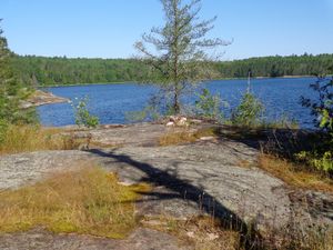 Conk Portage Campsite