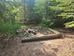 North Fowl BWCA campsite