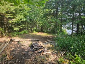 North Fowl BWCA campsite