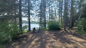 picnic table view