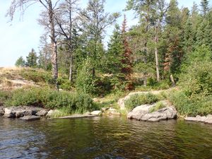 Put in on the shore for canoe