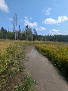 Pond Crossing