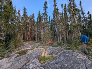 Oliver Lake Campsite