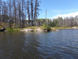 Burned Campsite Artery Lake near Pictographs