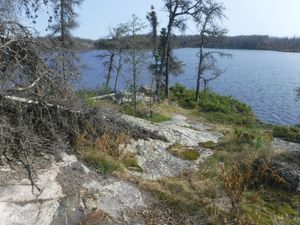 Burned but usable campsite on Optic Lake