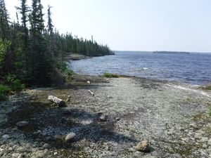 Exposed island campsite on Musclow Lake