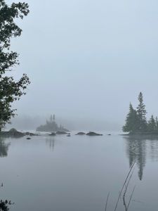 998 - Foggy - August 2024