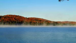 Fall from the dock at Harkness Lab