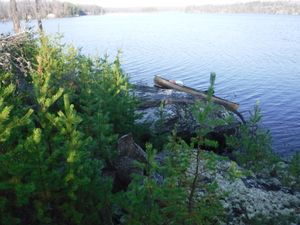 Pre-fire campsite being reclaimed by nature