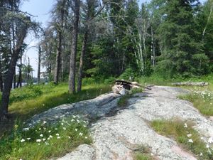 Artery Lake campsite looking north