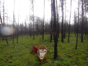 Burned 1500m portage looking south approximately halfway