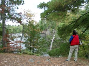 More Newton Falls overlooks