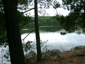 Downstream of Pipestone falls from portage