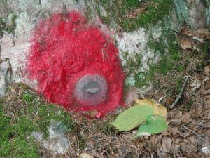 USGS location marker