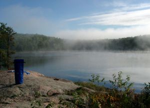 Cold misty morning