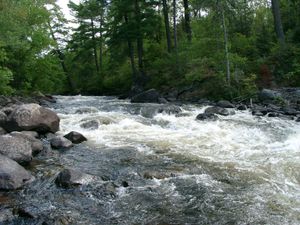 Nice view of the falls