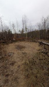 Small clearing at site 2202