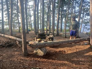 Fire pit and new bench