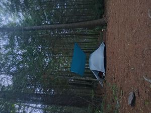 PN Tent site