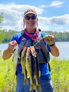 Buck Lake walleye